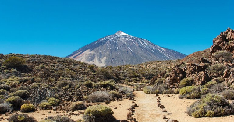 Accessible Excursions in Tenerife
